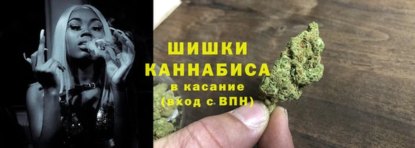 2c-b Бердск